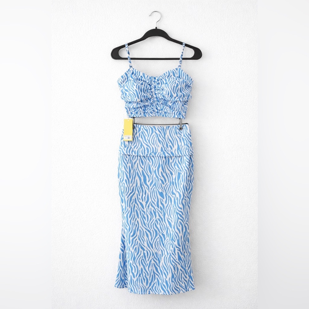 Blue and White Zebra Print Two-Piece Set